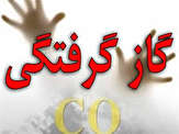مسمومیت با منوکسید کربن سه نفر را در زاهدان روانه بیمارستان کرد