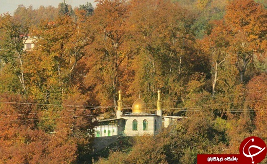 طبیعت پاییزی سوادکوه + تصاویر
