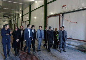 موفقیت پیشگامان از شعار به عمل قابل تقدیر است