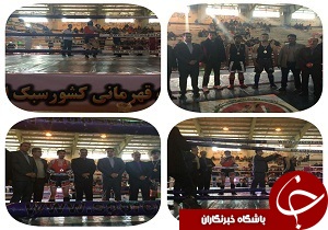 درخشش رزمی کاران قزوینی در رقابت‌های کیک بوکسینگ