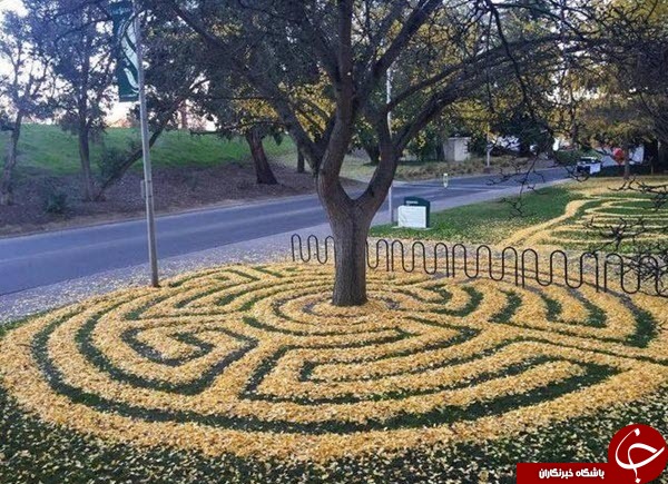 هنرنمایی بسیار زیبا با برگ های پاییزی