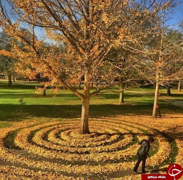 هنرنمایی بسیار زیبا با برگ های پاییزی