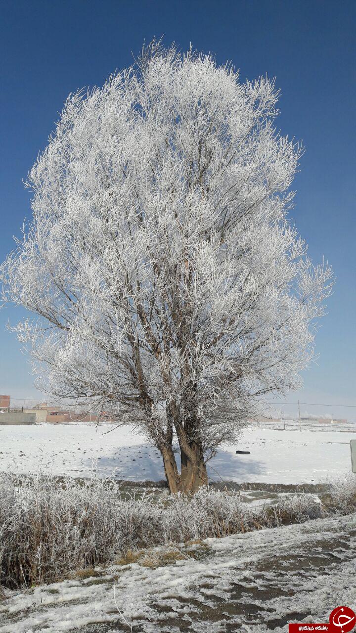 طبیعت برفی روستای سامیان در قاب دوربین + تصاویر
