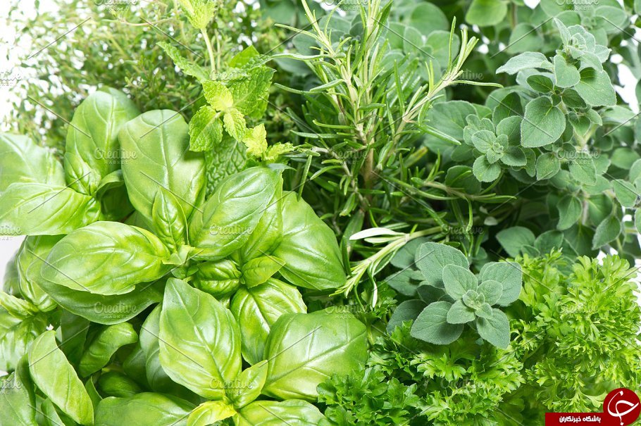 با این مواد غذایی استرس را در زندگی روزانه دور بزنید