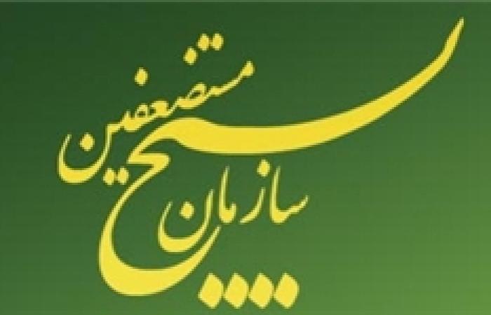 معاون سیاسی سازمان بسیج مستضعفین معرفی شد