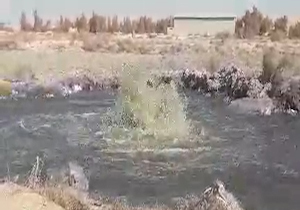 جوشش فاضلاب از دل روستای «سه قلعه»/ مزارعی که با آب آلوده آبیاری می‌شوند + فیلم