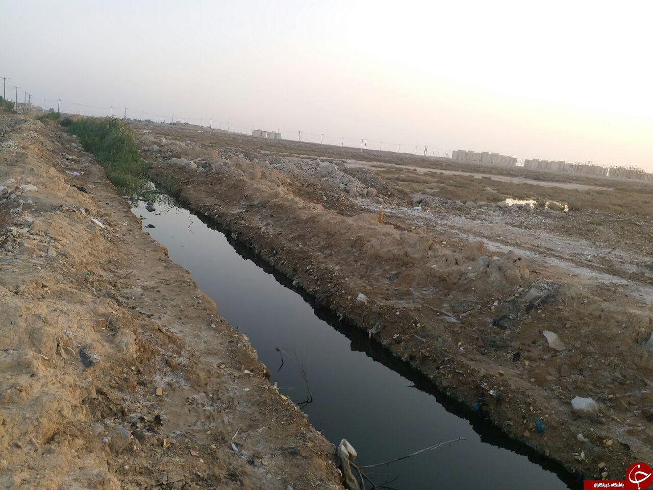 کشف جسد پسر بچه 4 ساله در کانال فاضلاب شهر بندر امام خمینی (ره) + فیلم