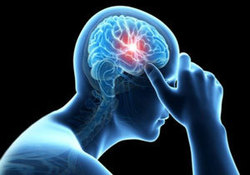 از دومین عضو حیاتی بدن چگونه مراقبت کنیم؟ + فیلم