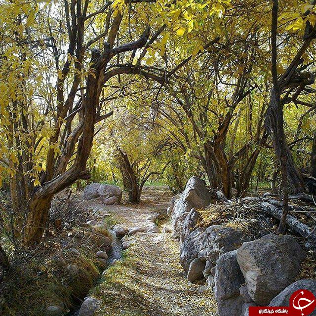 چشم&zwnj;اندازی زیبا از طبیعت پاییزی در قطرم + تصاویر