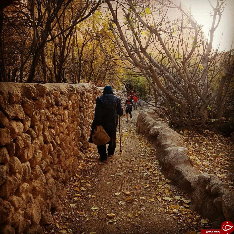 چشم&zwnj;اندازی زیبا از طبیعت پاییزی در قطرم + تصاویر