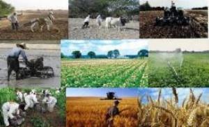 اختصاص ۲ درصد از تسهیلات توسعه روستایی کشور به استان زنجان