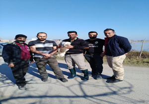 رهاسازی پرندگان درتالاب سرخرود