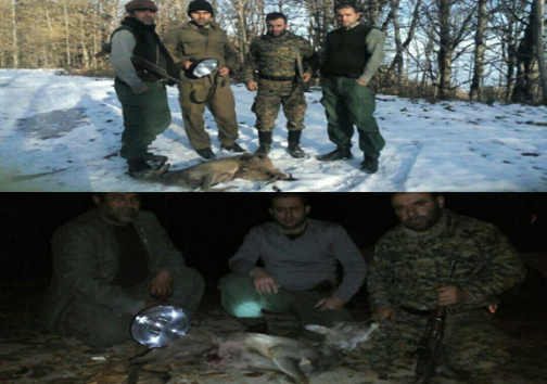 دستگیری ۶ شکارچی غیر مجاز در چالوس و نوشهر دستگیری ۶ شکارچی غیر مجاز در چالوس و نوشهر