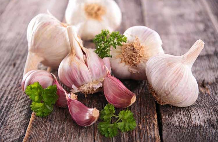 با مصرف روزانه سیر 100 سال عمر کنید + اینفوگرافی