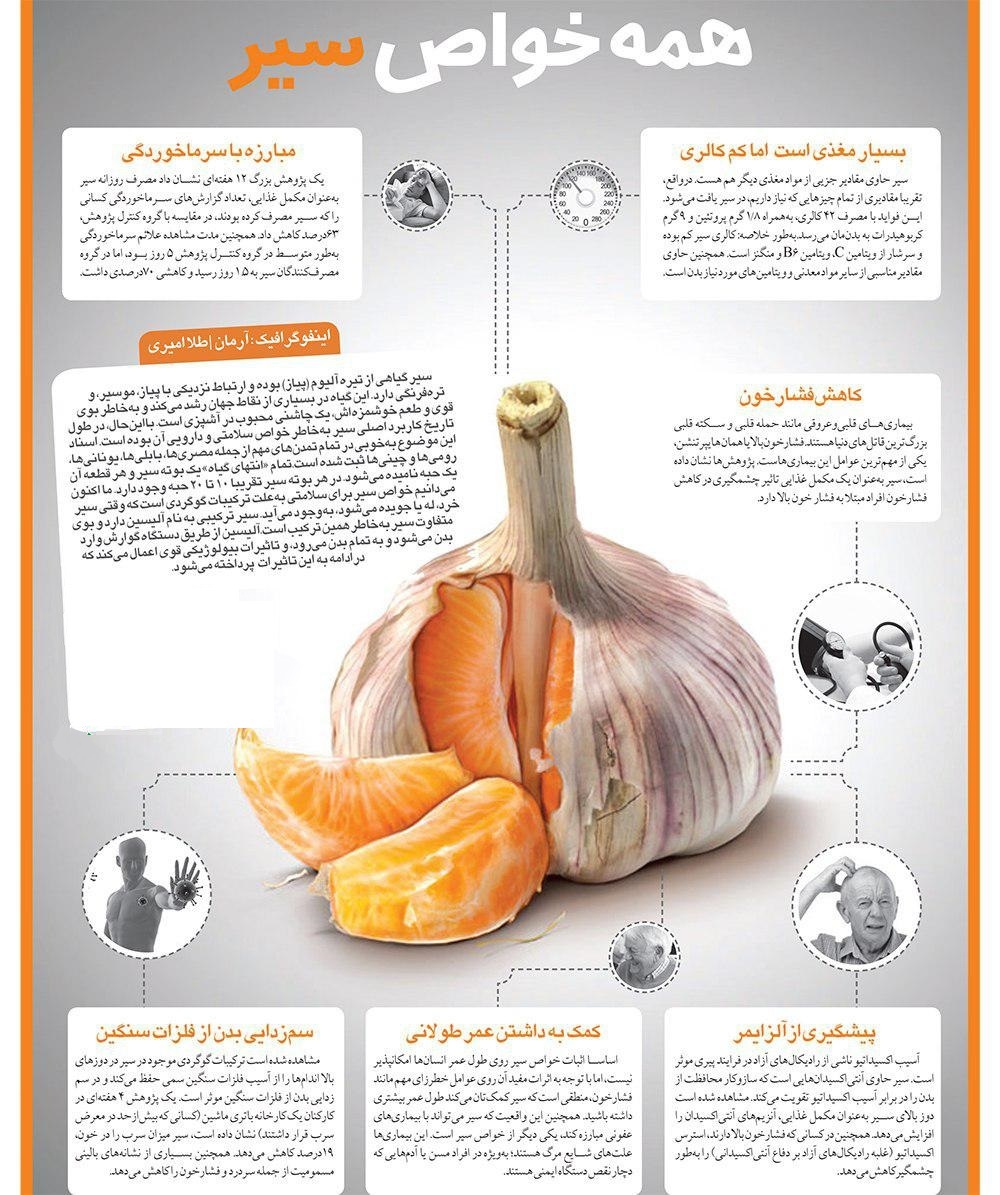سیر + اینفوگرافی سیر + اینفوگرافی