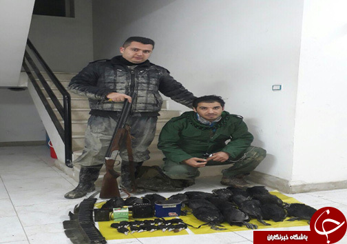 شکارچیان غیر مجاز در دام محیط بانان ۴ شهر مازندران
