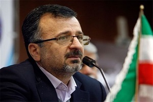 داورزنی: فدراسیون‌های ورزشی فقط نگاهشان به دولت نباشد
