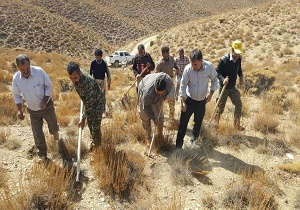 طرح جنگلانه مسیر اشتغال پایدار در روستاهای آرادان را فراهم می کند
