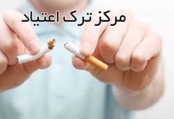 برداشت ۵۰ میلیونی شاخه ای گل نرگس در خوزستان + فیلم