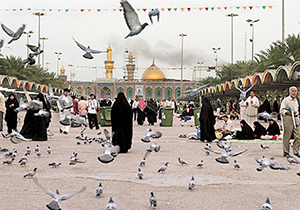 اعزام ۱۷ هزار دانشجو به عتبات دانشگاهیان