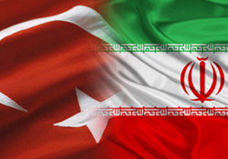 روزهای خوب مهدی طارمی در لیگ پرتغال + فیلم