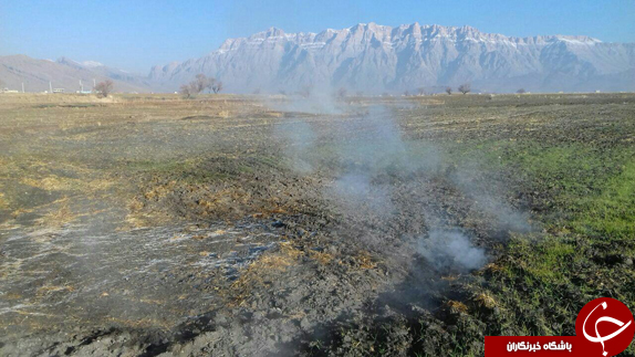 وقوع مجدد پدیده خودسوزی در دشت خانمیرزا + تصاویر
