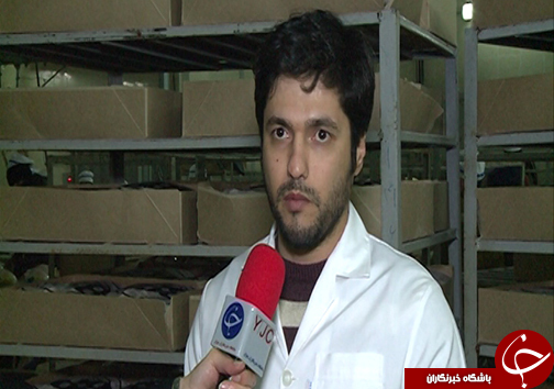 صادرات پای مرغ گلستان به کشورهای آسیای شرقی