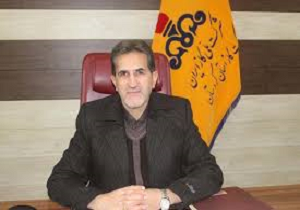 ضریب نفوذ گازطبیعی در روستاهای کردستان به ۸۰ درصد رسید