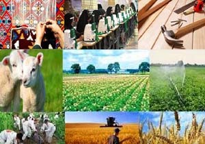 اعطای تسهیلات 6 درصدی برای اشتغال روستائیان