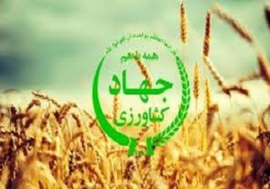 جذب سرمایه گذار تنها راه توسعه بهتر بخش کشاورزی در کردستان است