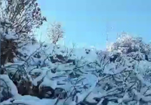 طبیعت زیبا و برفی روستای «زرند» + فیلم