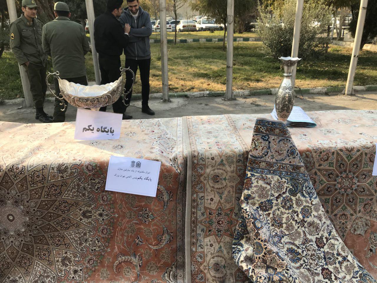 مارمولک ابریشم دزد به ایستگاه آخر رسید + تصاویر