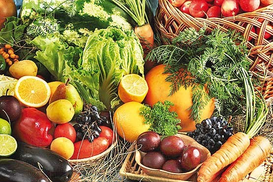 نمایشگاه محصولات ارگانیک دست واسطه ها را کوتاه می کند