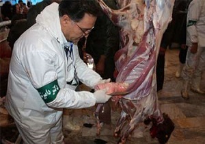 انجام ۲۲ هزار بازرسی ازمراکز فرآورده‌های خام دامی سیستان و بلوچستان