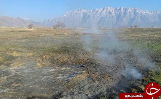 از تفریحی که راه درست زندگی کردن را می&zwnj;آموزد تا خودسوزی تالاب خان&zwnj;میرزا + فیلم