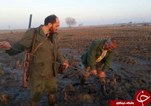 تخریب ۱۹ رشته دام هوایی در آمل