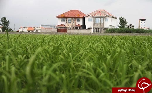 نگاهی گذرا به مهمترین رویداد&zwnj;های سه شنبه ۲۸ آذر ماه در مازندران