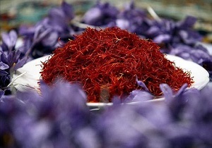 خرید توافقی  یک تن و 100 کیلوگرم زعفران از کشاورزان خراسان جنوبی