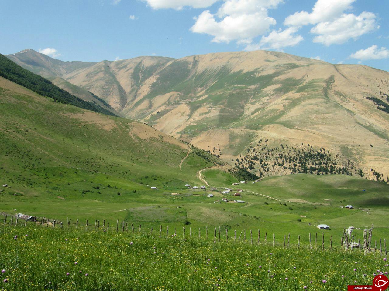 طبیعت زیبا و بکر روستای ییلاقی 