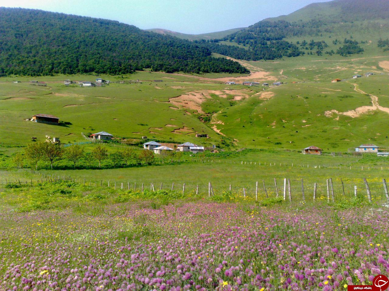 طبیعت زیبا و بکر روستای ییلاقی 
