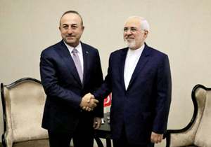 ظریف با وزیر خارجه ترکیه دیدار کرد
