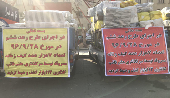 رعد 6 بر سر سارقان و مالخران پایتخت فرود آمد+عکس