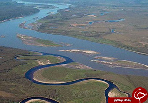 مشکلات بزرگترین باغ زیتون ایران در گلستان/آیا رود اترک مرواید&zwnj;های سبز را نجات می&zwnj;دهد؟