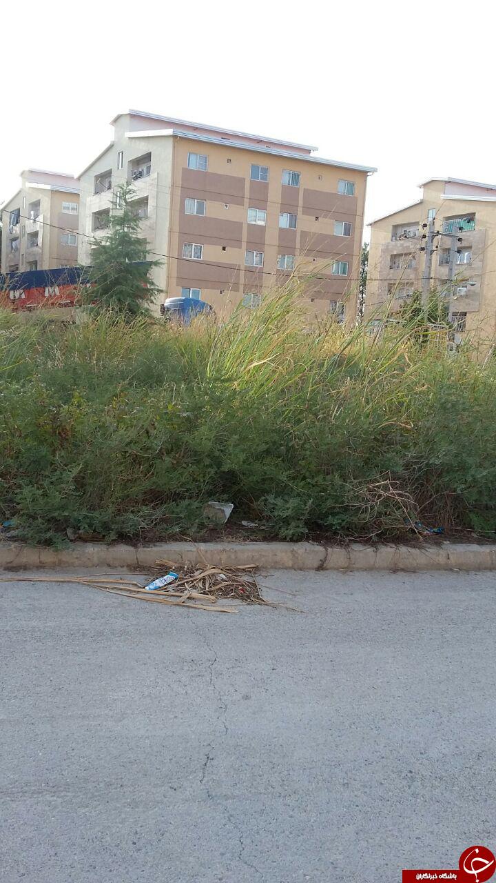 وضعیت اسفناک بهداشت در مسکن مهر گنبدکاووس + تصاویر