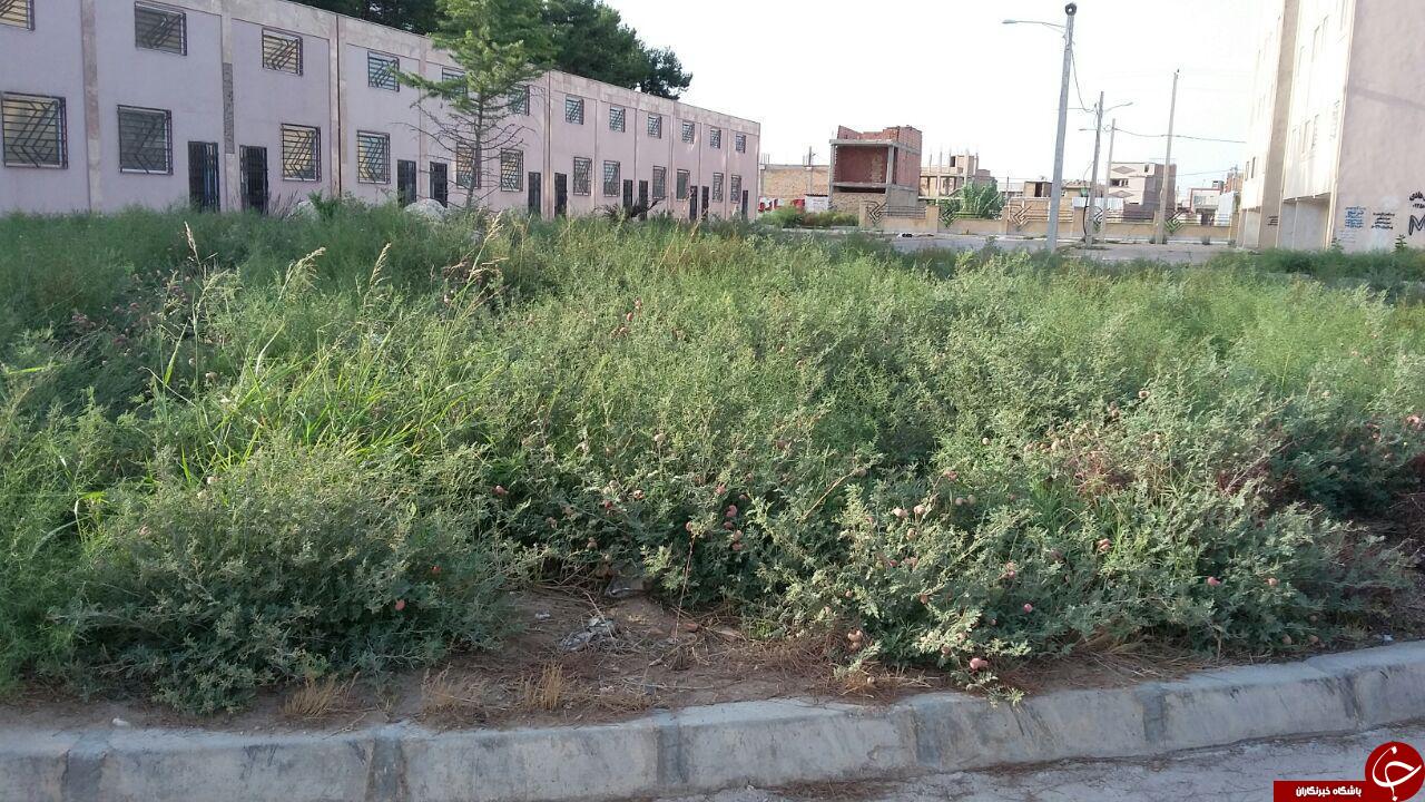 وضعیت اسفناک بهداشت در مسکن مهر گنبدکاووس + تصاویر