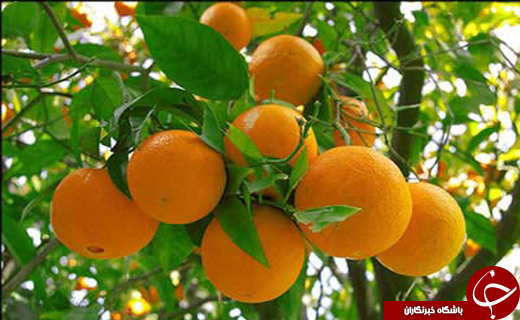نگاهی گذرا به مهمترین رویداد&zwnj;های ۳ آذر ماه در مازندران