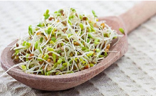 رژیم غذایی افراد بلغمی&zwnj;مزاج (طبع سرد و تر)