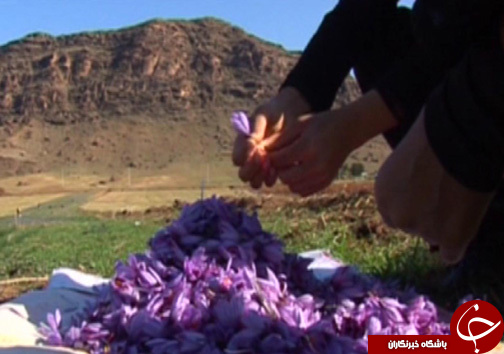 زنان کارآفرین در روستای سراب داراب / اشتعغال زایی برای ۶۰ نفر از بانوان روستا