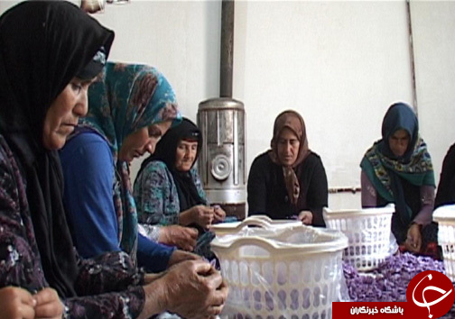 زنان کارآفرین در روستای سراب داراب / اشتعغال زایی برای ۶۰ نفر از بانوان روستا