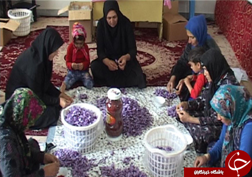 زنان کارآفرین در روستای سراب داراب / اشتعغال زایی برای ۶۰ نفر از بانوان روستا